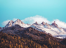 开云app-克努佩尔26+11+8布伦森26+13 黄蜂终结尼克斯7连胜